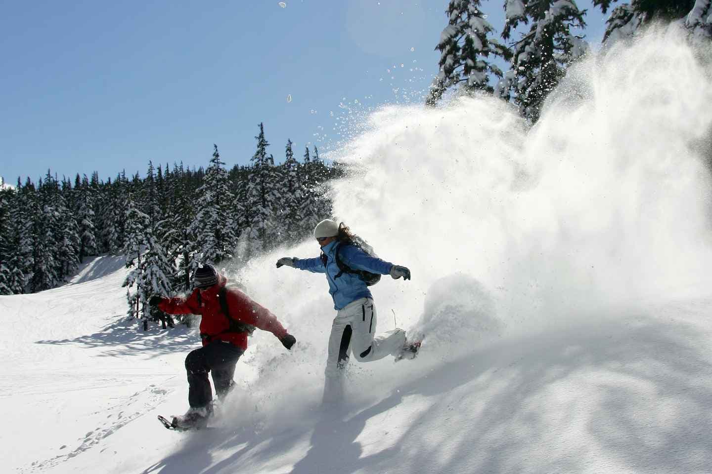 Bend: Half-Day Snowshoe Tour in the Cascade Mountain Range thumbnail