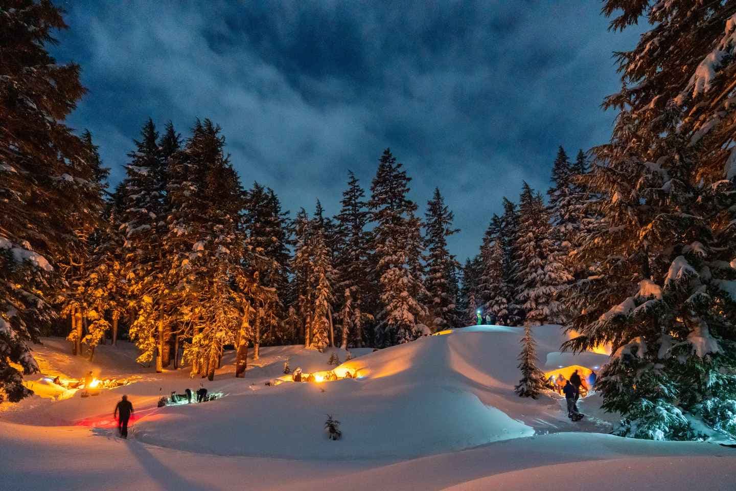 Bend: Cascade Mountains Snowshoeing Tour and Bonfire thumbnail